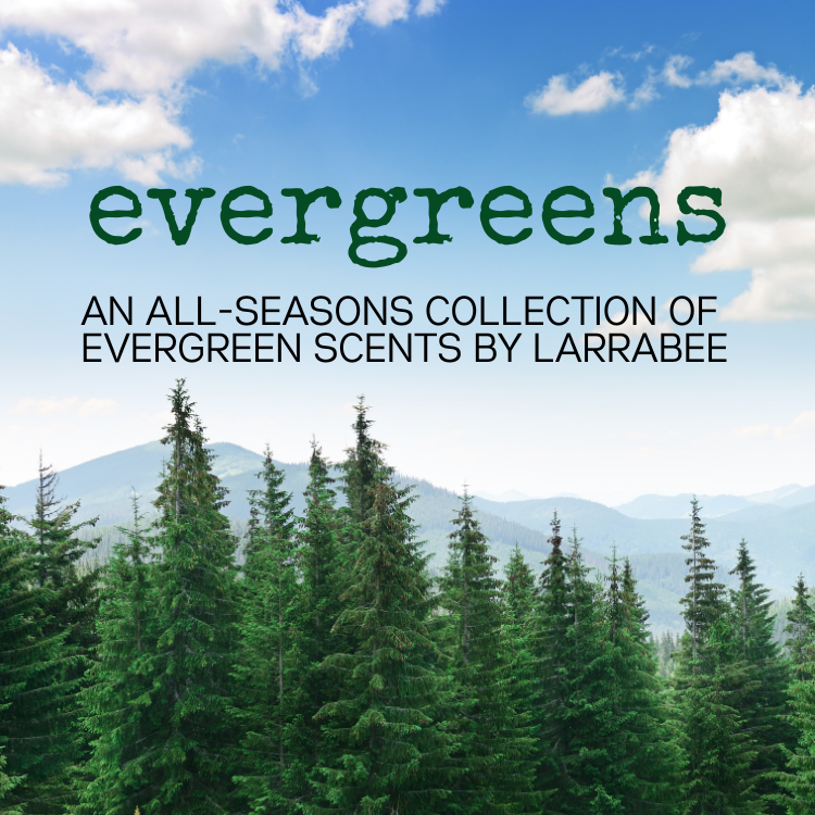 EVERGREENS