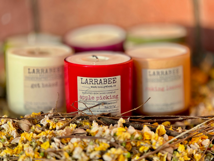 FALL FRAGRANCES 2024