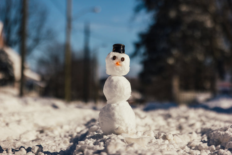WINTER 2025