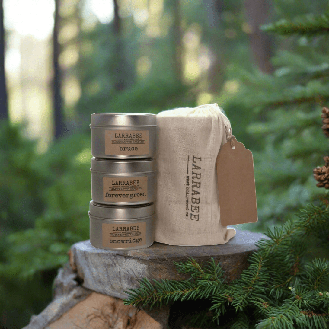 evergreens in a bag stacked tins in the oods
