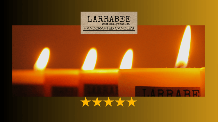 RATED & REVIEWED