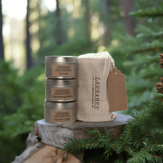 evergreens in a bag stacked tins in the oods